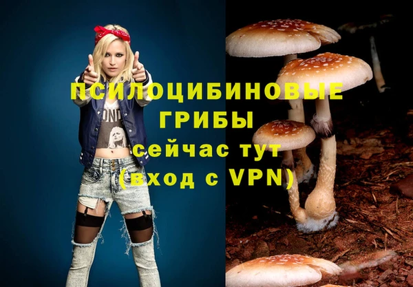 амфетамин Богданович