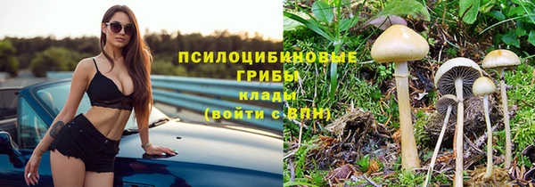 ешки Остров