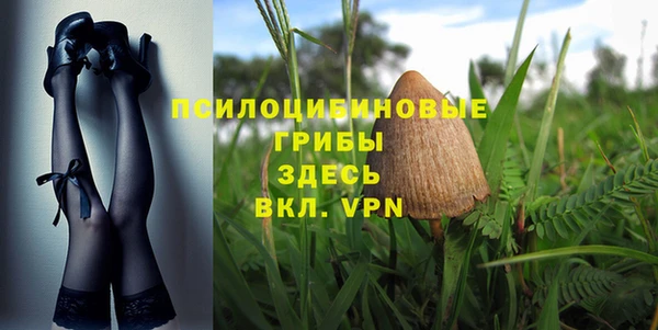 тгк Богородск